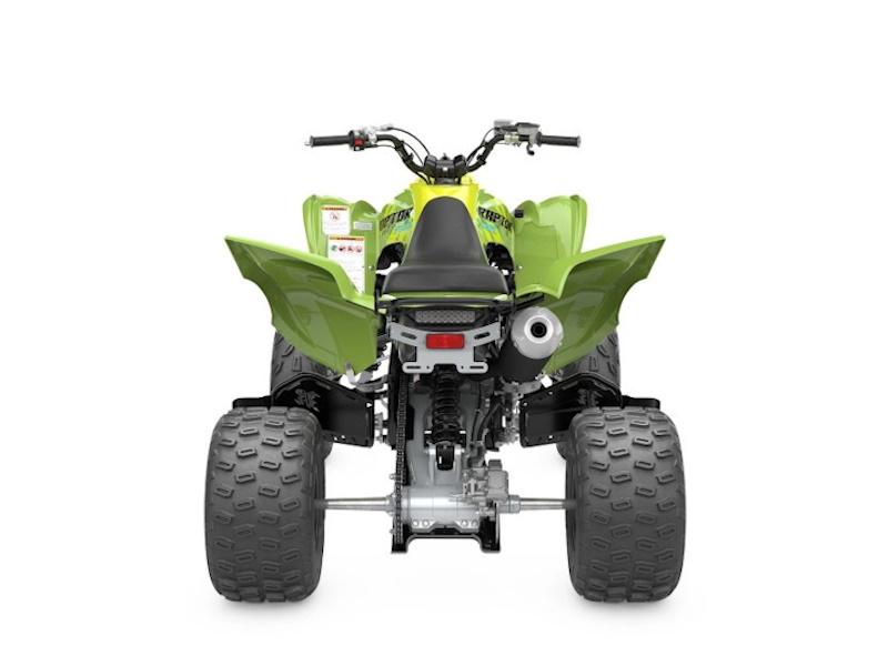 2025 Yamaha Raptor 700R SE ATV - Image 14